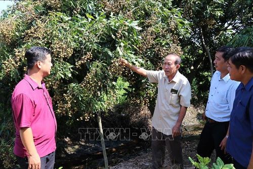 Gắn kết cộng đồng từ những mô hình hiệu quả - Bài cuối: Vững vai trò hạt nhân, tạo thêm giá trị mới