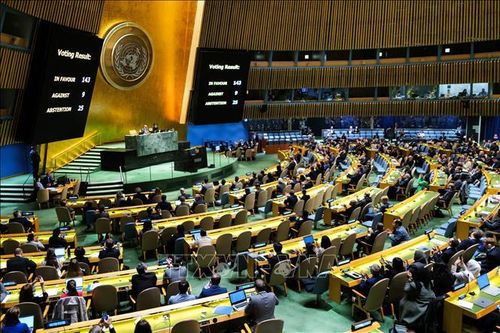 Ngoài Mỹ và Israel, 7 quốc gia cũng phản đối Palestine làm thành viên LHQ chính thức