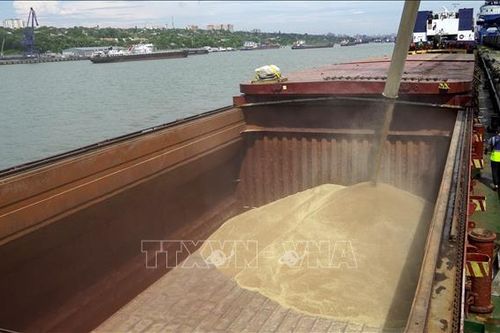 Nhiều nông sản của Nga đối mặt với nguy cơ mất mùa