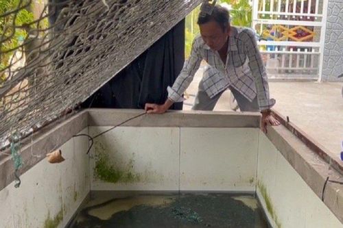 Anh nông dân kiếm trăm triệu đồng nhờ nuôi con 'hiền như cục bột'