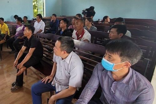 Gia Lai: Dân 'kêu trời' vì trại heo gây ô nhiễm
