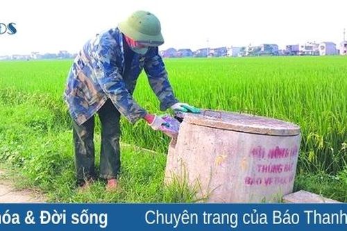 Ứng xử nơi xứ đồng