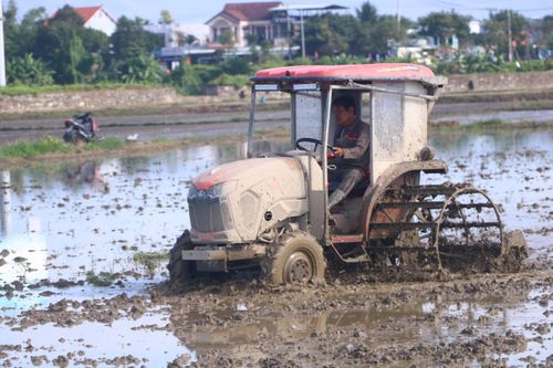Nông dân sản xuất vụ lúa hè thu 2024