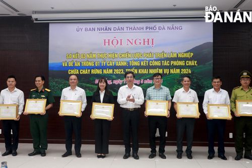 Hơn 1 triệu cây xanh được trồng trong giai đoạn 2021-2023