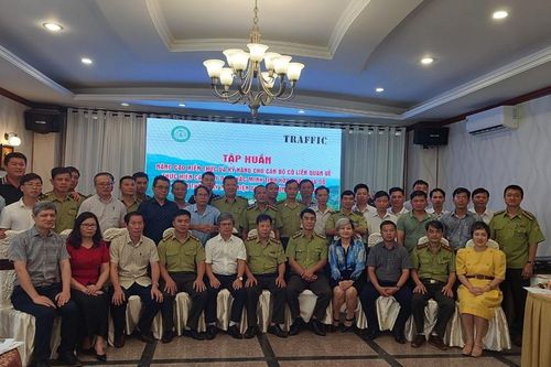 Tập huấn kỹ năng xác minh tính hợp pháp nguồn gốc gỗ cho kiểm lâm Gia Lai