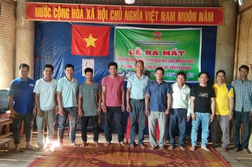 Ra mắt Chi hội nghề nghiệp chăn nuôi heo tại xã Ia Ka