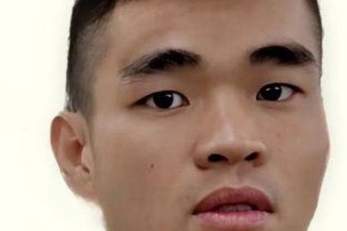 Vờ mua ô tô, lái thử rồi phóng xe bỏ trốn