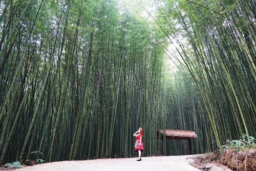 Nguyên Bình tập trung phát triển du lịch
