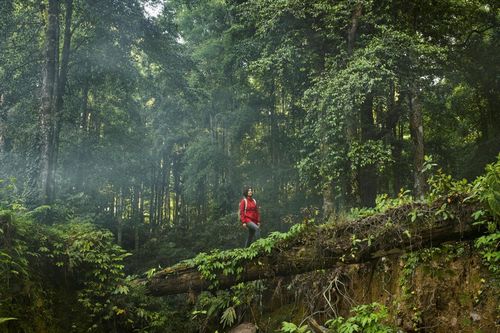 Các tour du lịch bền vững được du khách 'đặc biệt quan tâm'