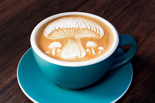Giải mã 'cơn cuồng' cà phê nấm