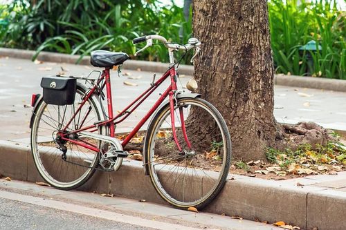 Cuộc đời sau ống kính: Xe đạp ơi…