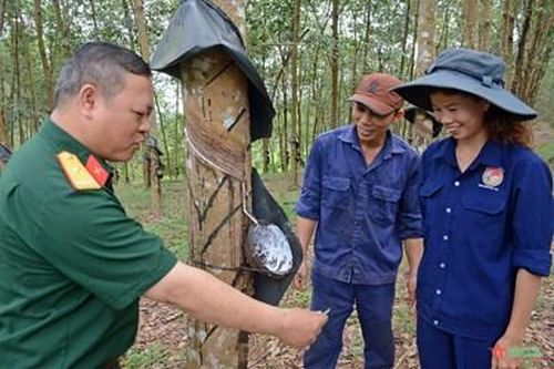 'Bàn tay vàng' làm nên sung túc