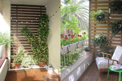 Biến ban công 12m2 thành 'xứ sở thần tiên' nơi hoa khoe sắc