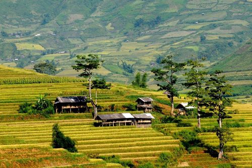 Truyện ngắn: Mùa lũ năm đó