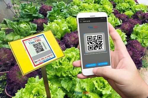 Giải pháp hữu hiệu