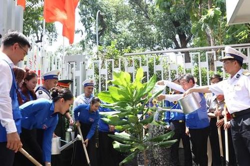 Trồng cây bàng vuông từ Trường Sa tại trụ sở Thành Đoàn TPHCM