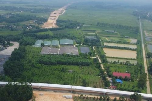 Gỡ rối cao tốc Bắc - Nam tắc nghẽn vì vướng... một trại lợn