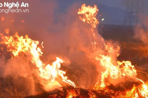 Ngộp thở vì khói khi nông dân đốt rơm rạ ngay trên đồng ruộng