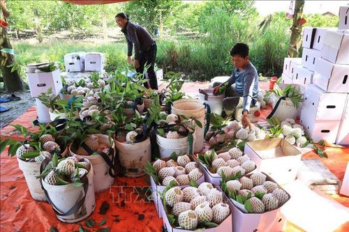 Phát huy lợi thế cửa ngõ quốc tế - Bài cuối: Hướng đến phát triển xanh và bền vững