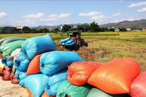 Thị trường nông sản: Nguồn cung hạn chế, giá gạo xuất khẩu tiếp tục tăng