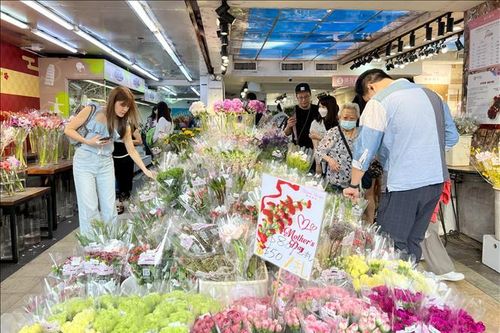 Nhộn nhịp thị trường hoa tươi và quà tặng nhân Ngày của Mẹ tại Hong Kong (Trung Quốc)