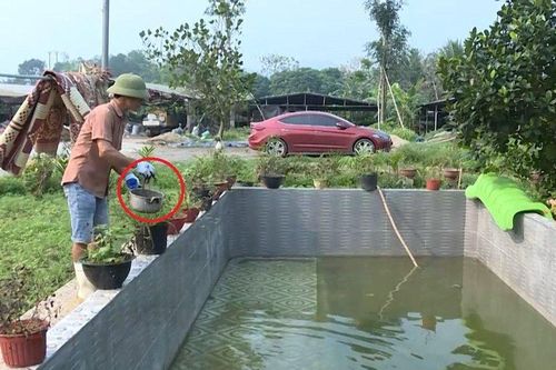 Anh nông dân nhẹ nhàng bỏ túi 2 tỷ nhờ nuôi con vật 'hiền khô như đất'