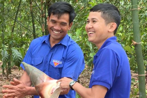 Thanh niên xã Kon Gang đổi mới tư duy phát triển kinh tế