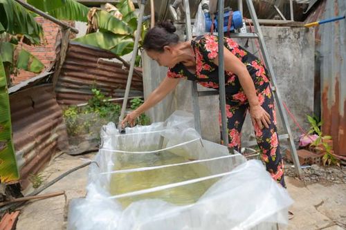 Xã Sông Cầu: Người dân thiếu nước sinh hoạt