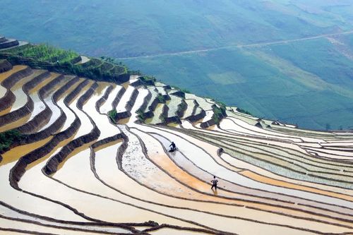 Bức họa đồ mùa nước đổ trên vùng cao Lào Cai