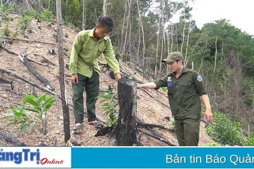 Đề nghị xử lý thêm 8 hộ dân ở xã Vĩnh Ô phá rừng trồng phòng hộ để lấn chiếm đất