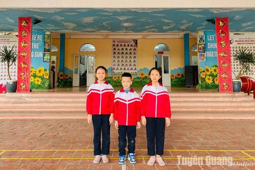 3 học sinh trường Tiểu học Lê Văn Tám đoạt giải tại Kỳ thi Olympic Toán học quốc tế TIMO