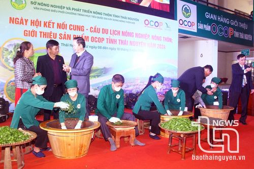 Nâng cao giá trị chè: Trách nhiệm từ nhiều phía