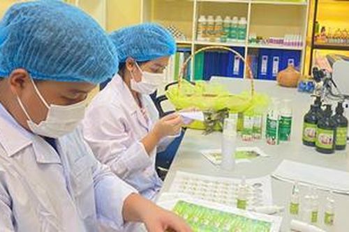Hai dự án của học sinh Thừa Thiên Huế vào vòng chung kết cuộc thi 'Học sinh, sinh viên với ý tưởng khởi nghiệp' cấp Quốc gia