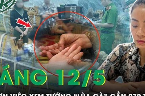 Sáng 12/5: Lời khai của 'đồng thầy' dùng chiêu xem tướng số 'lùa gà' góp vốn đầu tư gần 270 tỷ đồng