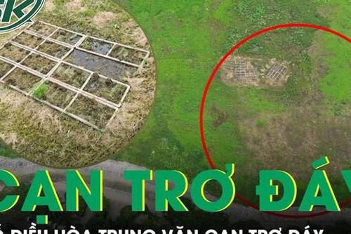 Cận cảnh hồ điều hòa Trung Văn cạn trơ đáy, cỏ mọc um tùm