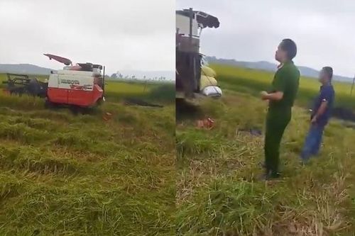 Người phụ nữ bị máy gặt cán tử vong