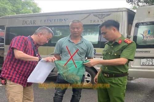 Ninh Bình: Phát hiện tài xế mang Culi quý hiếm đi bán