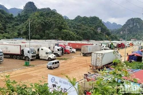 Mỗi ngày tồn gần 1.000 xe chở hàng xuất khẩu qua các cửa khẩu ở Lạng Sơn