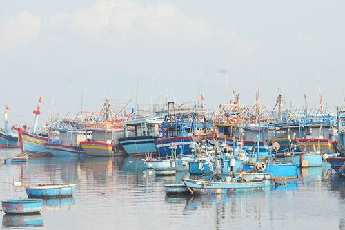 Bình Định quyết liệt xử lý tàu cá '3 không'