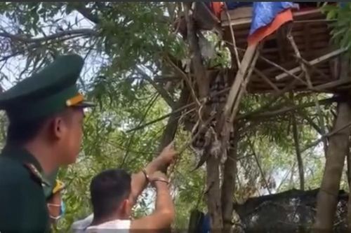 Bí mật trên lều 'tổ chim'