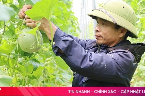 Cẩm Xuyên xây dựng hệ sinh thái nông nghiệp hữu cơ