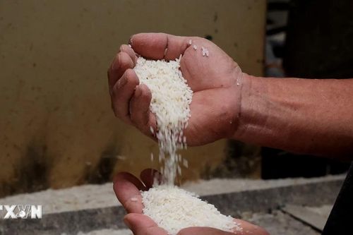 Nền kinh tế lớn nhất Đông Nam Á cần hơn 30 triệu tấn gạo trong năm 2024