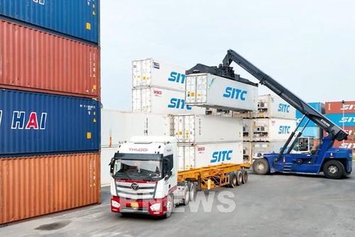 THILOGI vận chuyển trái cây từ Lào về cảng Chu Lai xuất khẩu sang Trung Quốc