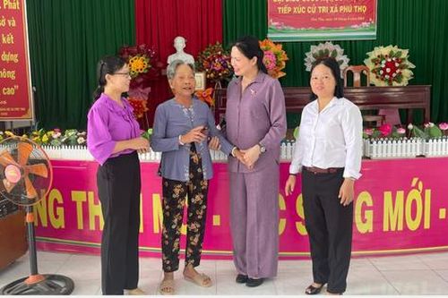 Cử tri Đồng Tháp quan tâm, kiến nghị nhiều vấn đề an sinh xã hội