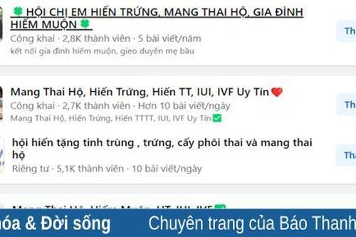 Tràn lan dịch vụ đẻ thuê, hiến tinh trùng, trứng