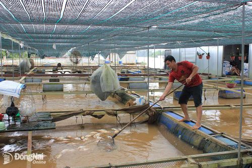 Tăng sự tham gia của cộng đồng trong quản lý rủi ro thiên tai