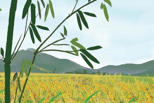 Thơ Hoàng Đăng Du: Nhớ làng
