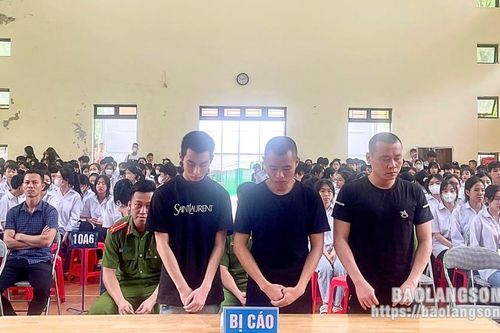 Bản án thích đáng đối với hành vi mua bán, tổ chức sử dụng trái phép chất ma túy