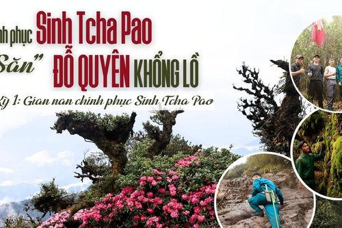 Kỳ 1: Gian nan chinh phục Sinh Tcha Pao