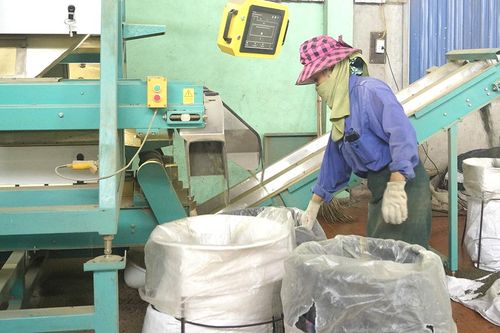 Nâng cao hiệu quả trồng, chế biến chè